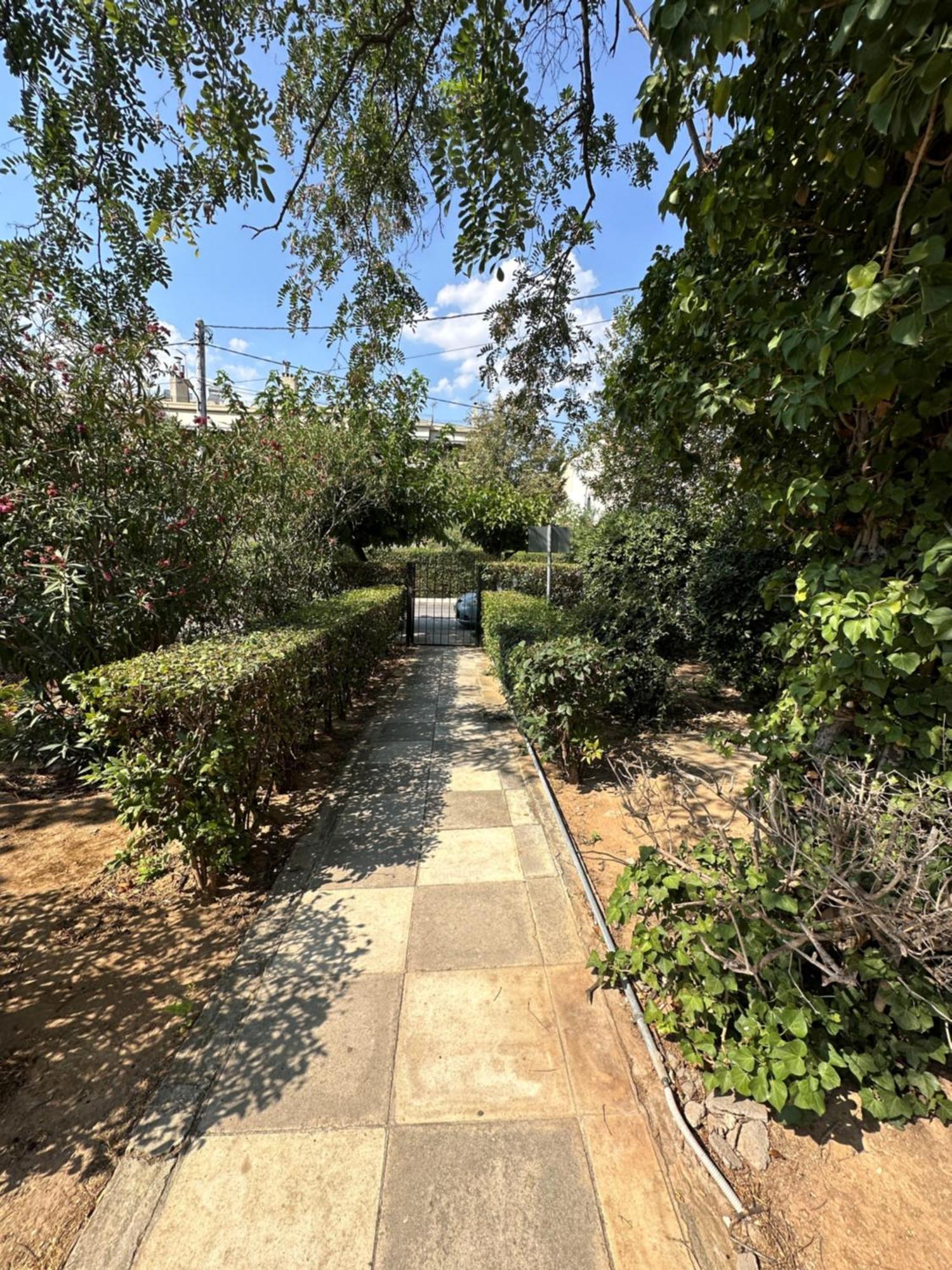 Newly Remodeled Dream Condominiun In Kifisia With Garden & Grass Lawn Apartment Athen